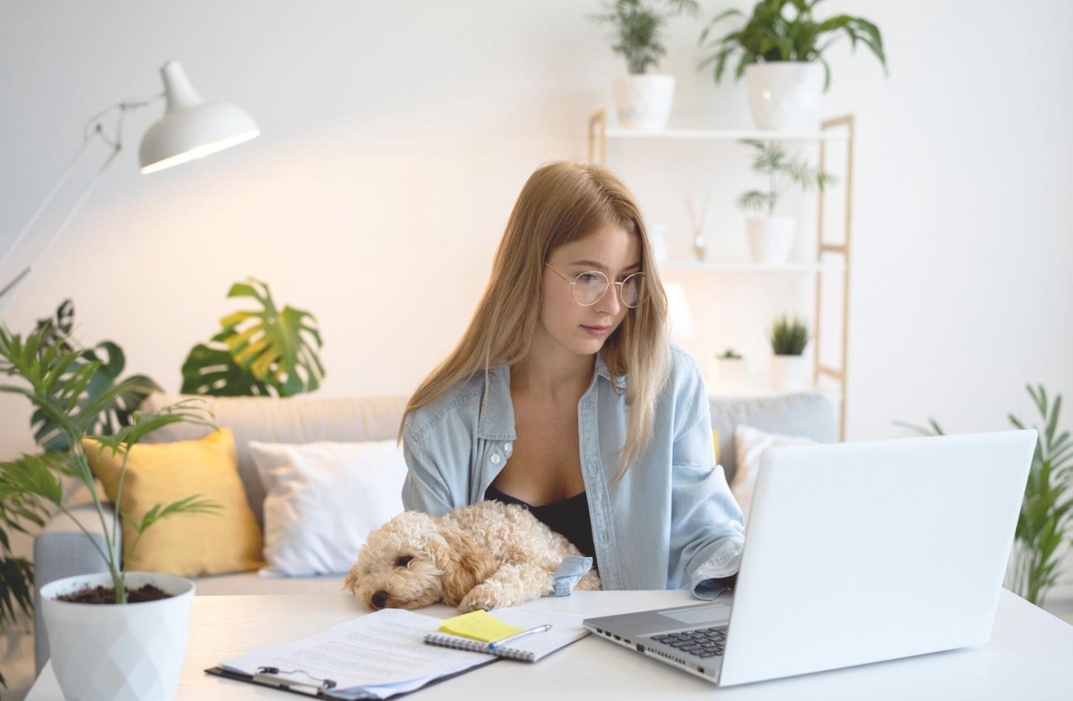 Financial planning workspace with detailed analysis documents